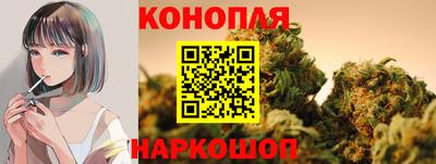 мяу мяу мука Канаш