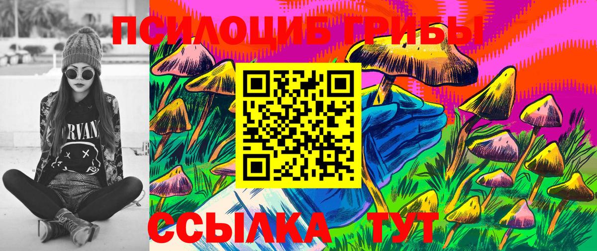Псилоцибиновые грибы GOLDEN TEACHER Валуйки